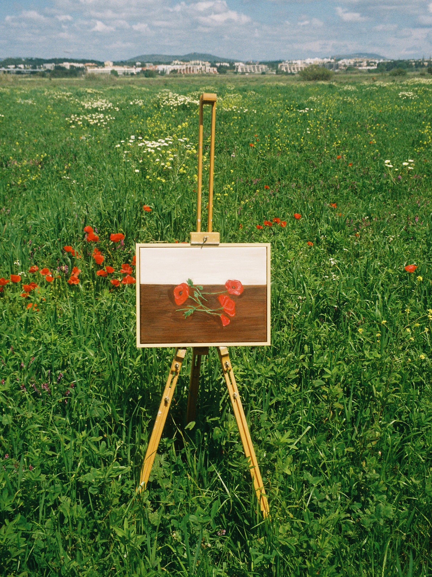 Papoilas colhidas Painting
