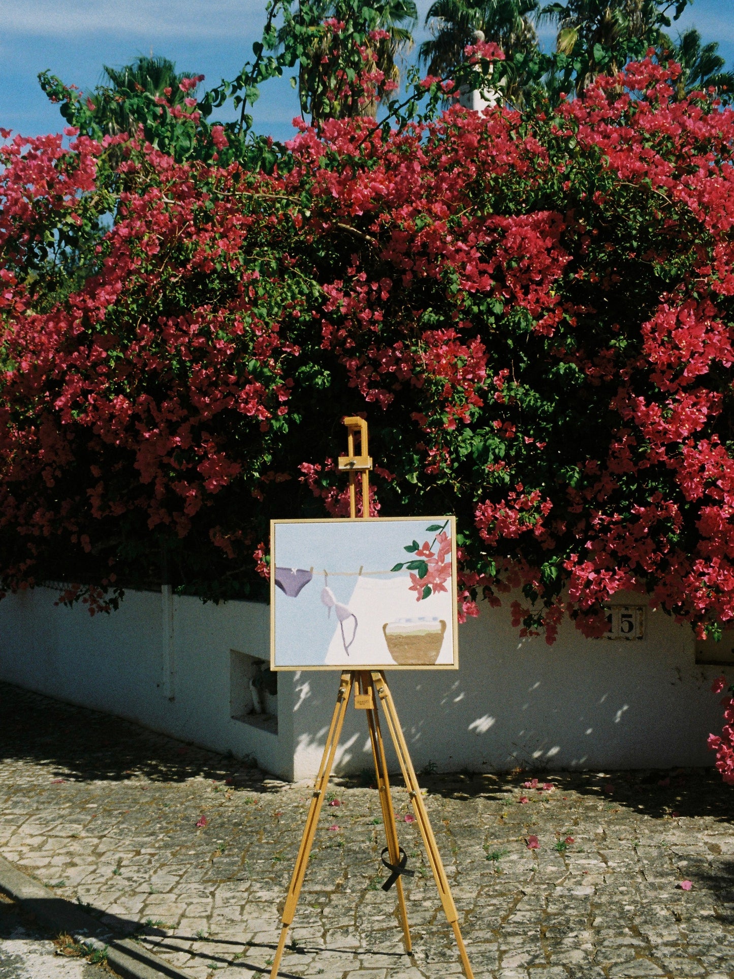 Meu rico Algarve Painting