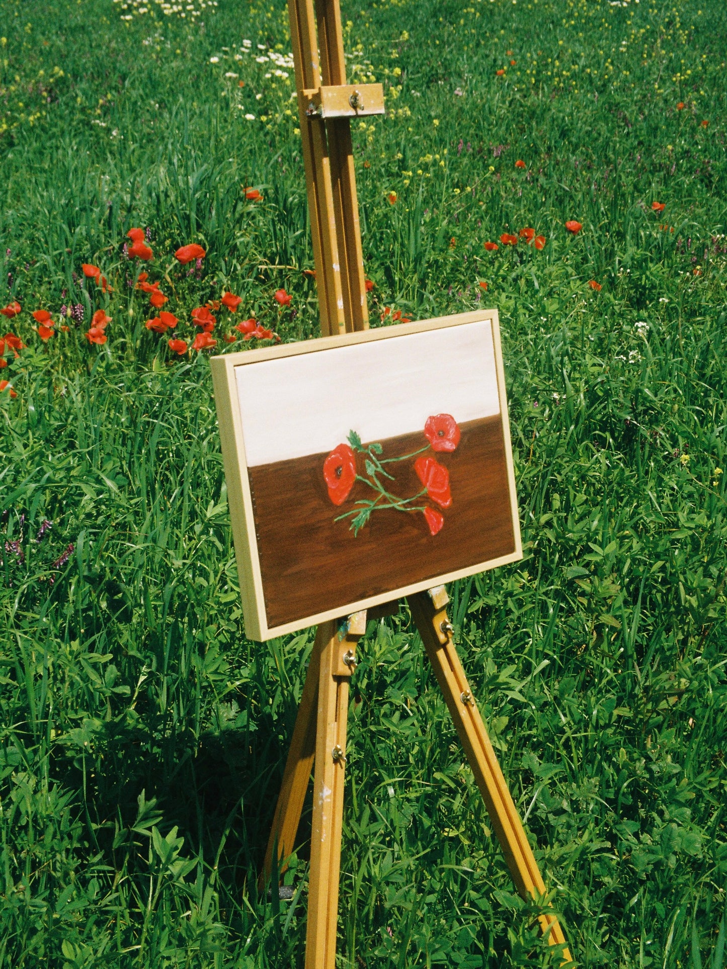 Papoilas colhidas Painting
