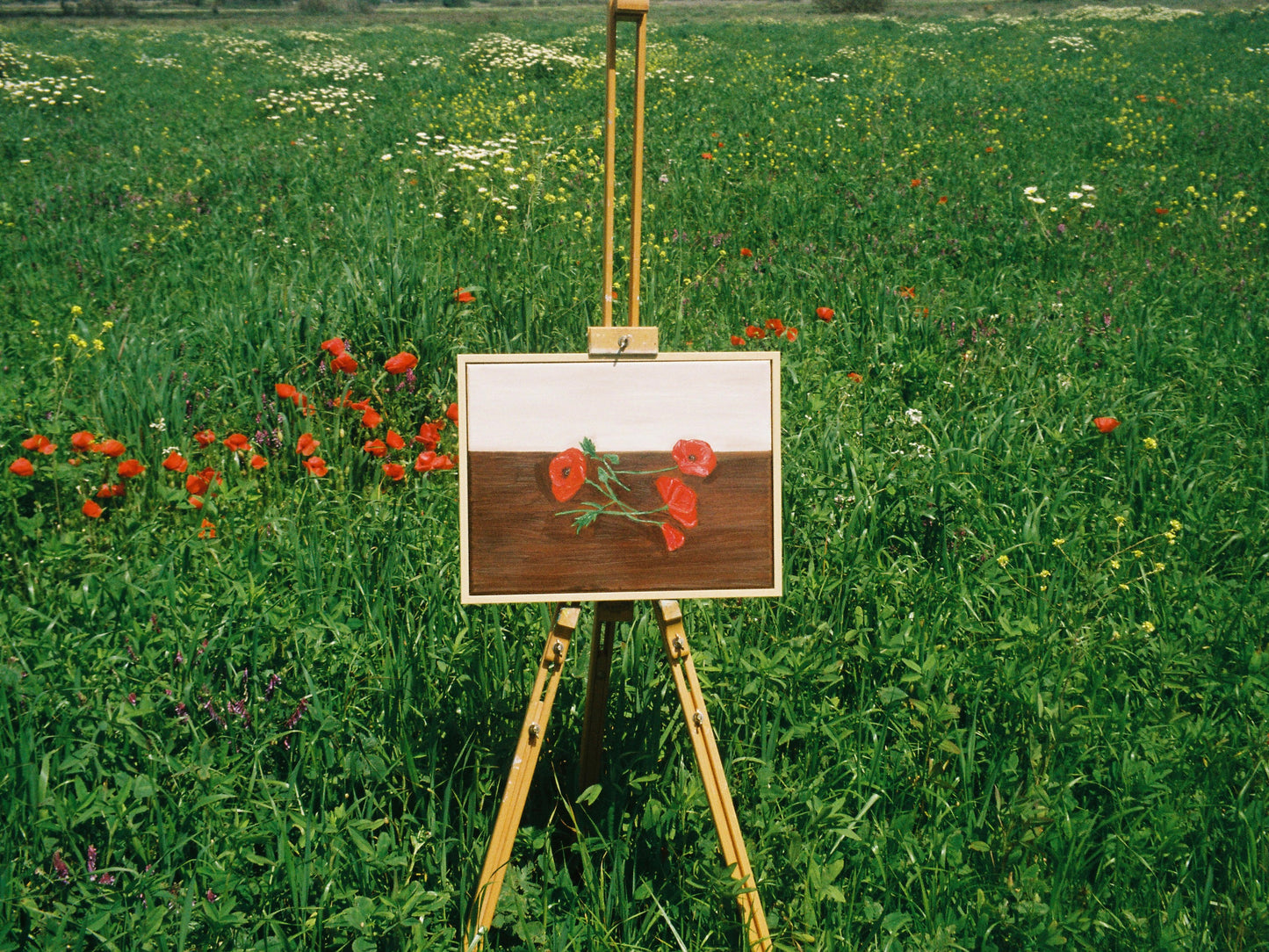 Papoilas colhidas Painting