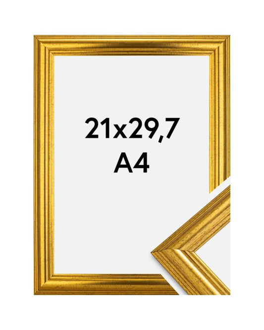 Frame Västkusten