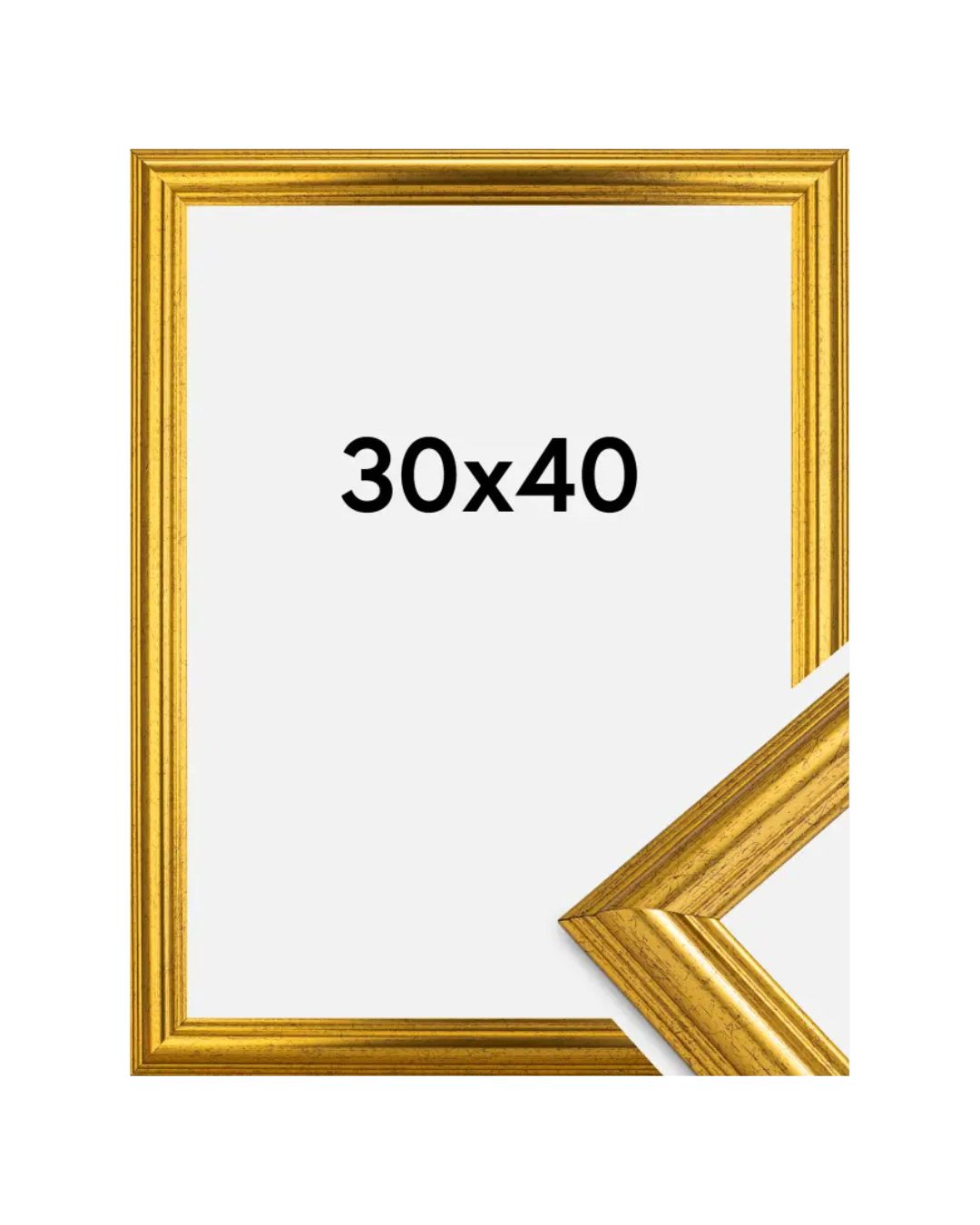 Frame Västkusten