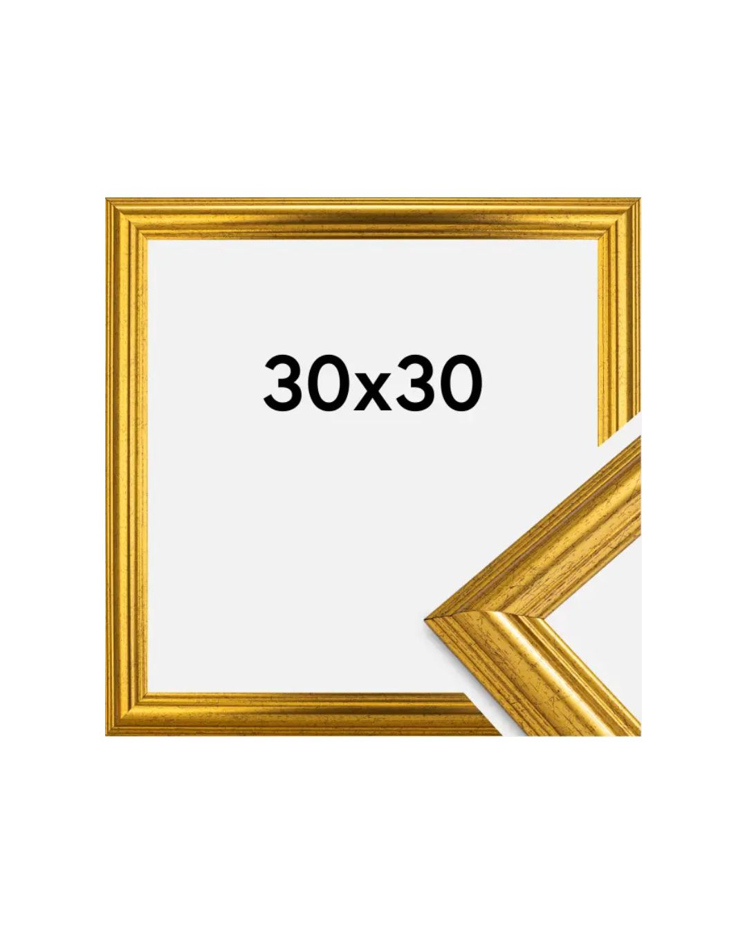 Frame Västkusten