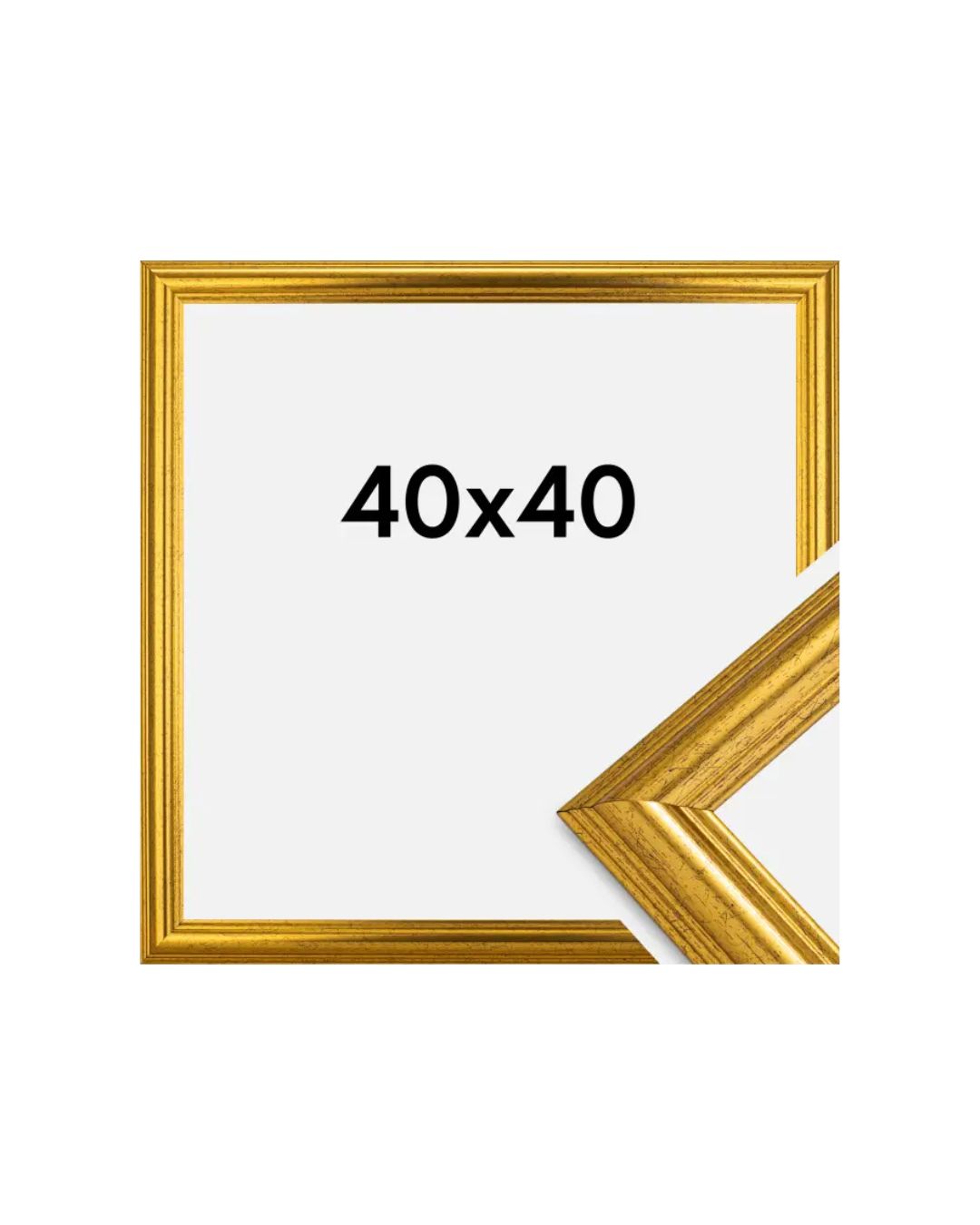 Frame Västkusten