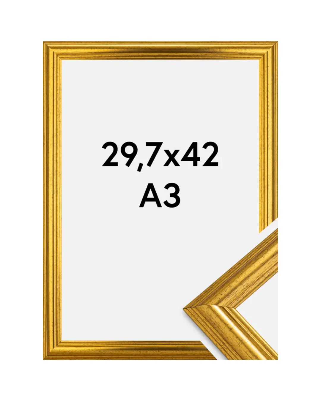 Frame Västkusten
