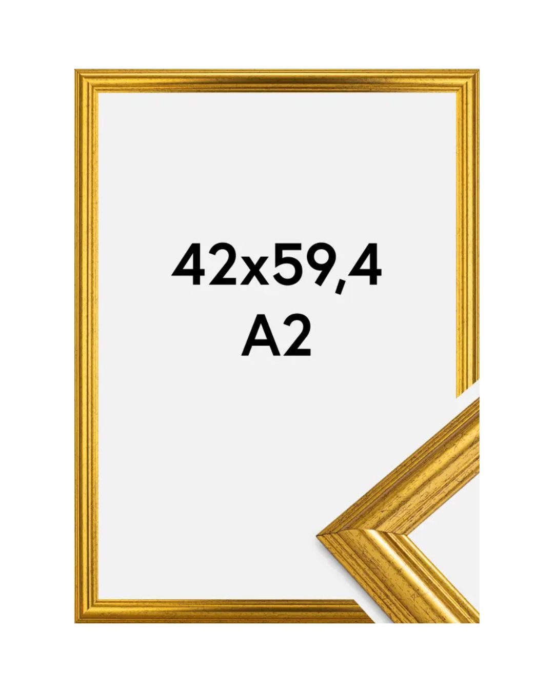 Frame Västkusten