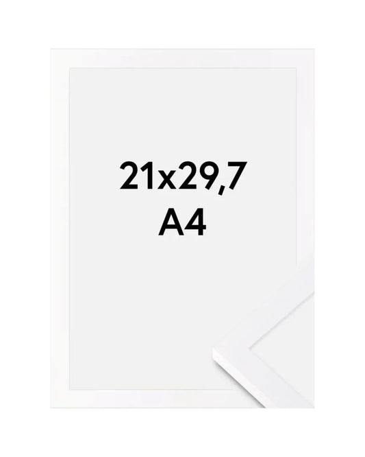 Frame Selection